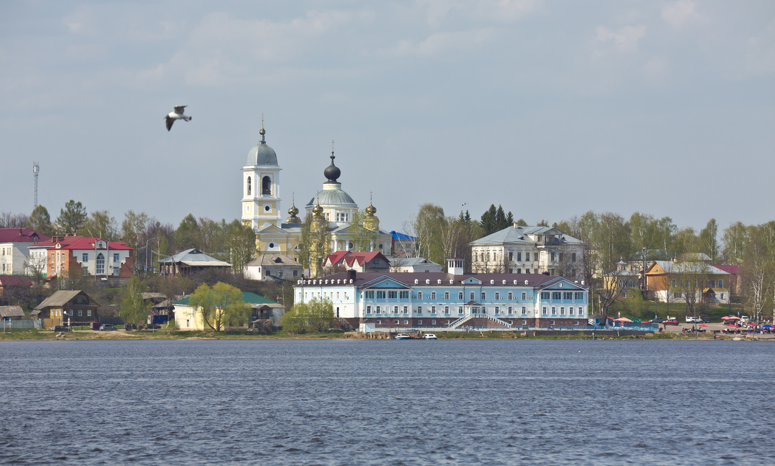 Мышкин фото. Городское поселение Мышкин. Мышкин Ярославская область. Город Мышкино в Ярославле. Город Мышкин на Волге.